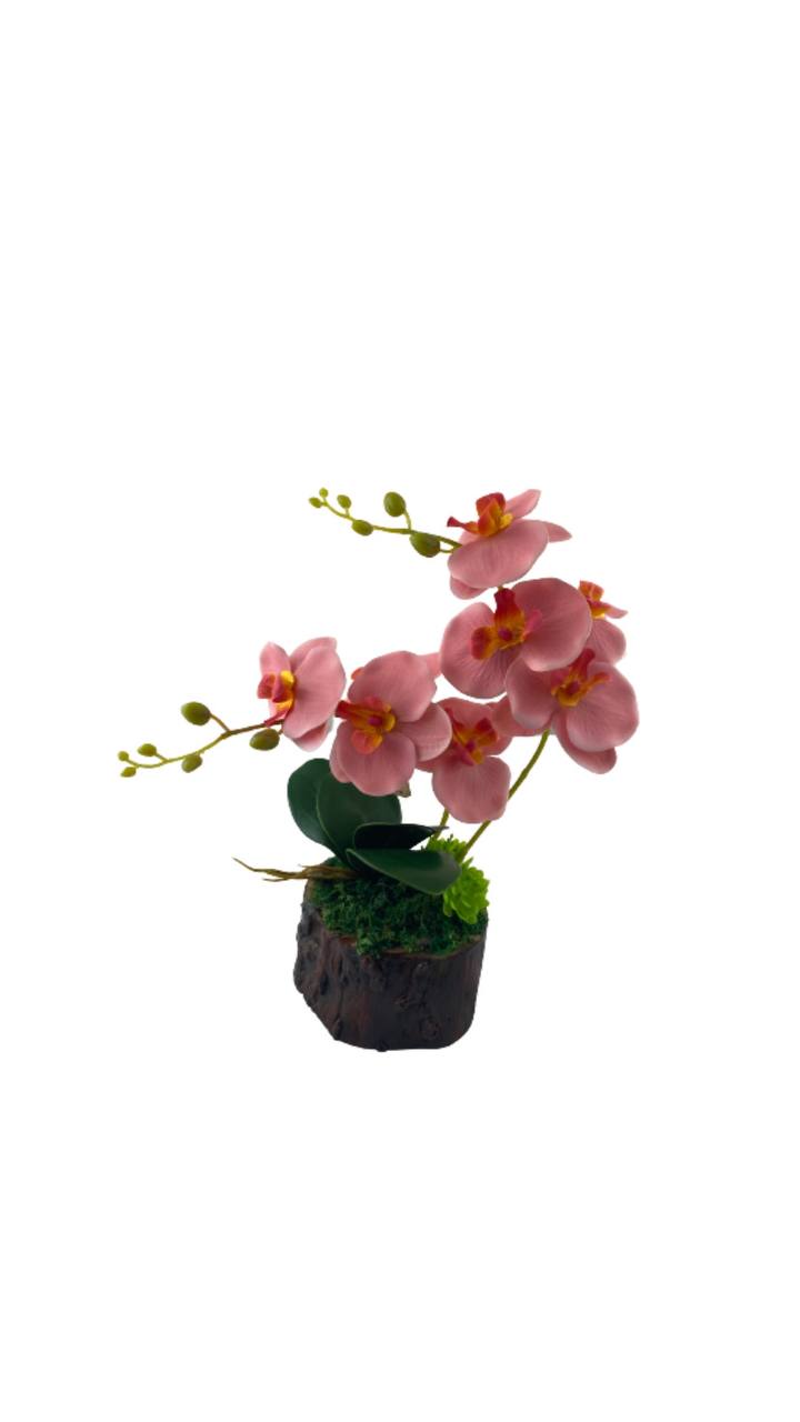 GUBAHAN ORKED KAYU BULUH