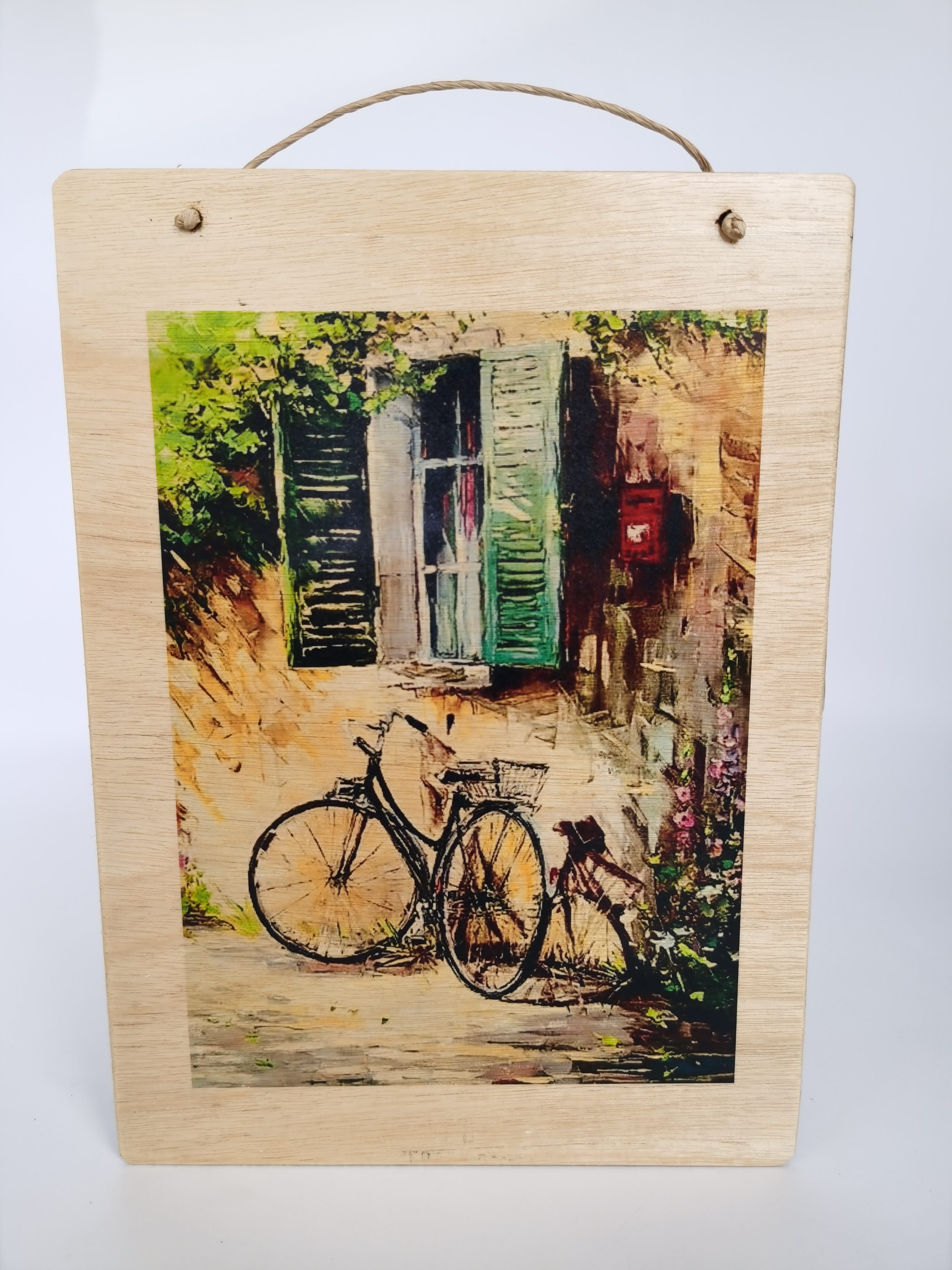 PICTURE TRANSFER (BICYCLE AT WINDOW)