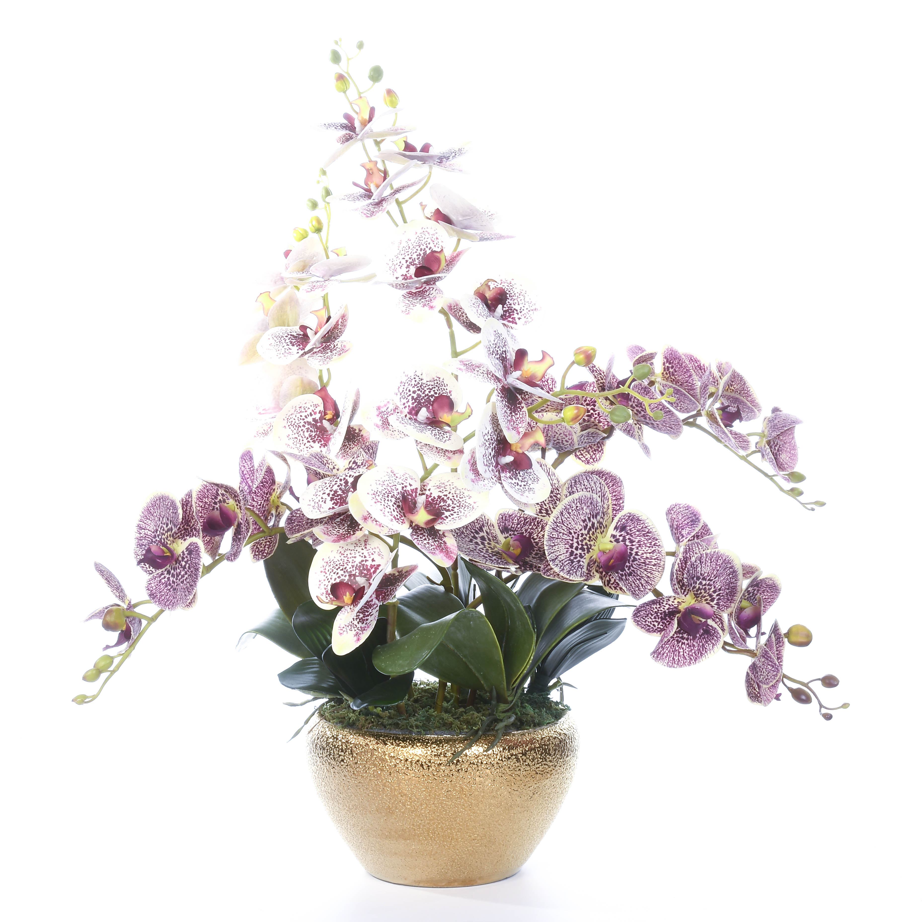 ARTIFICIAL PURPLE + WHITE BUTTERFLY ORCHID WITH GOLD POT