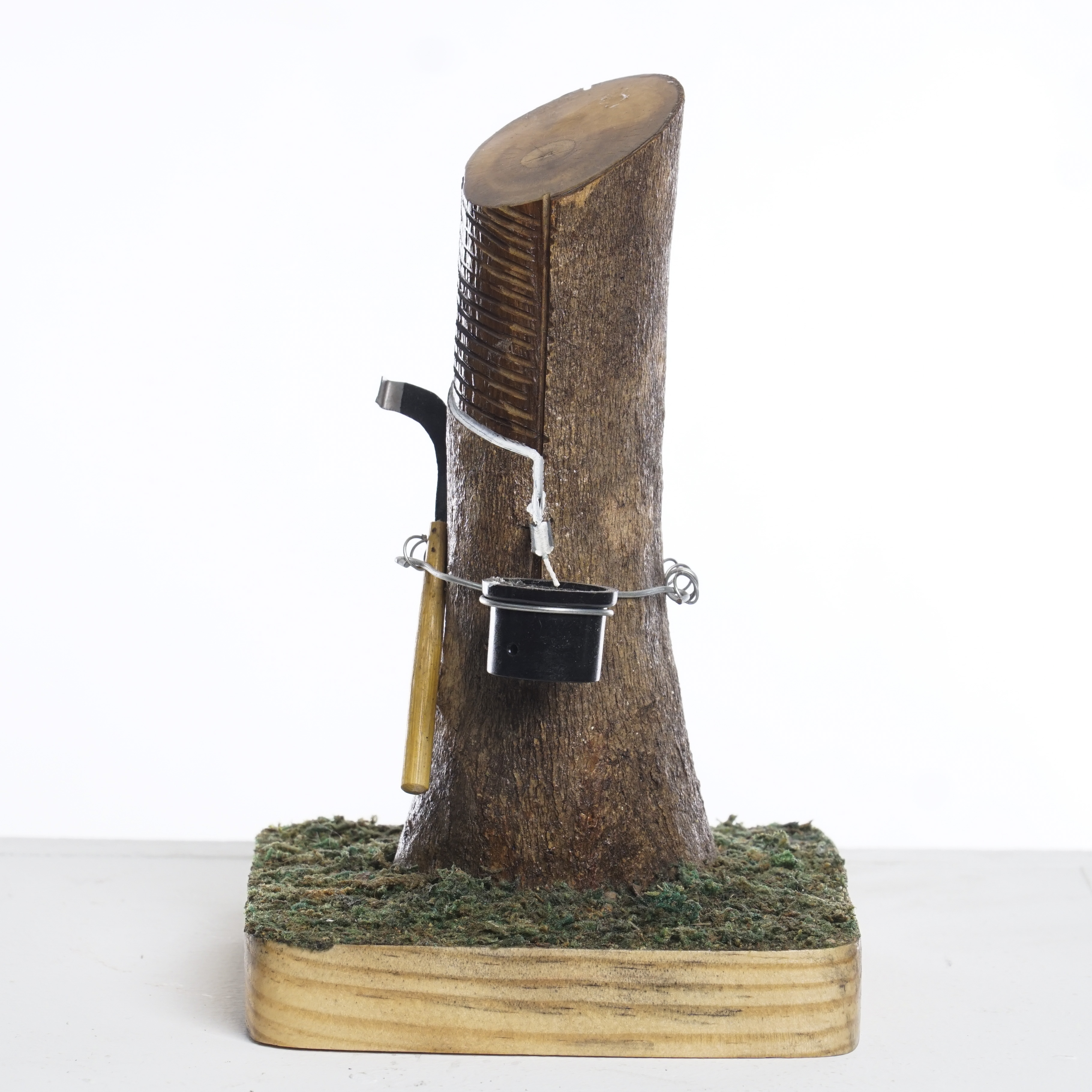 CENDERAMATA POKOK GETAH