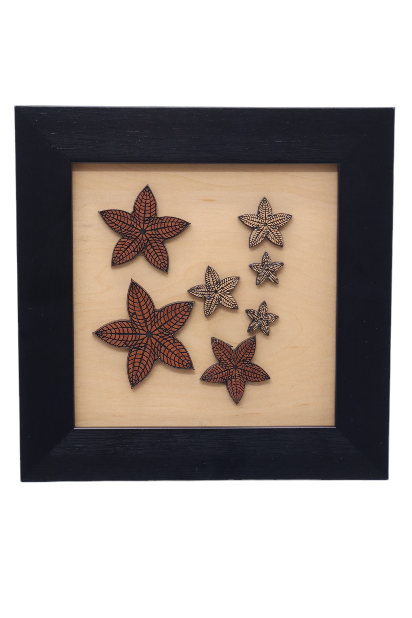 (PRE-ORDER) FRAME BUNGO LADO