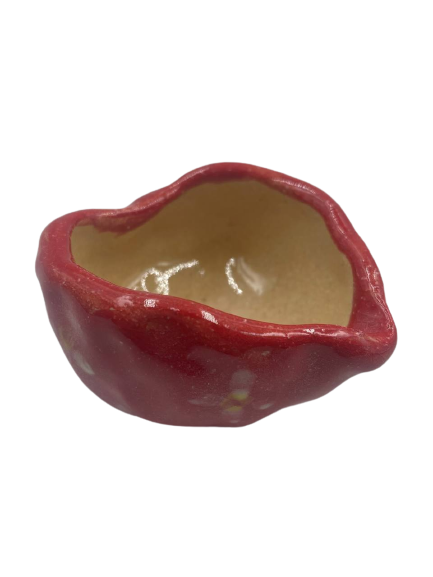 MINI LOVE CACTUS POT