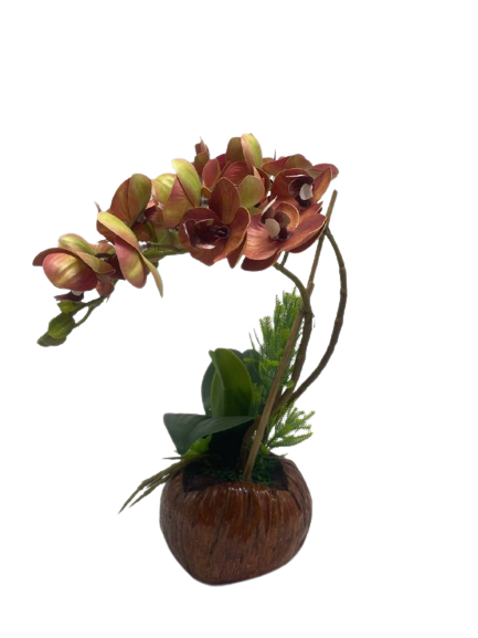 GUBAHAN ORKED PASU KELAPA