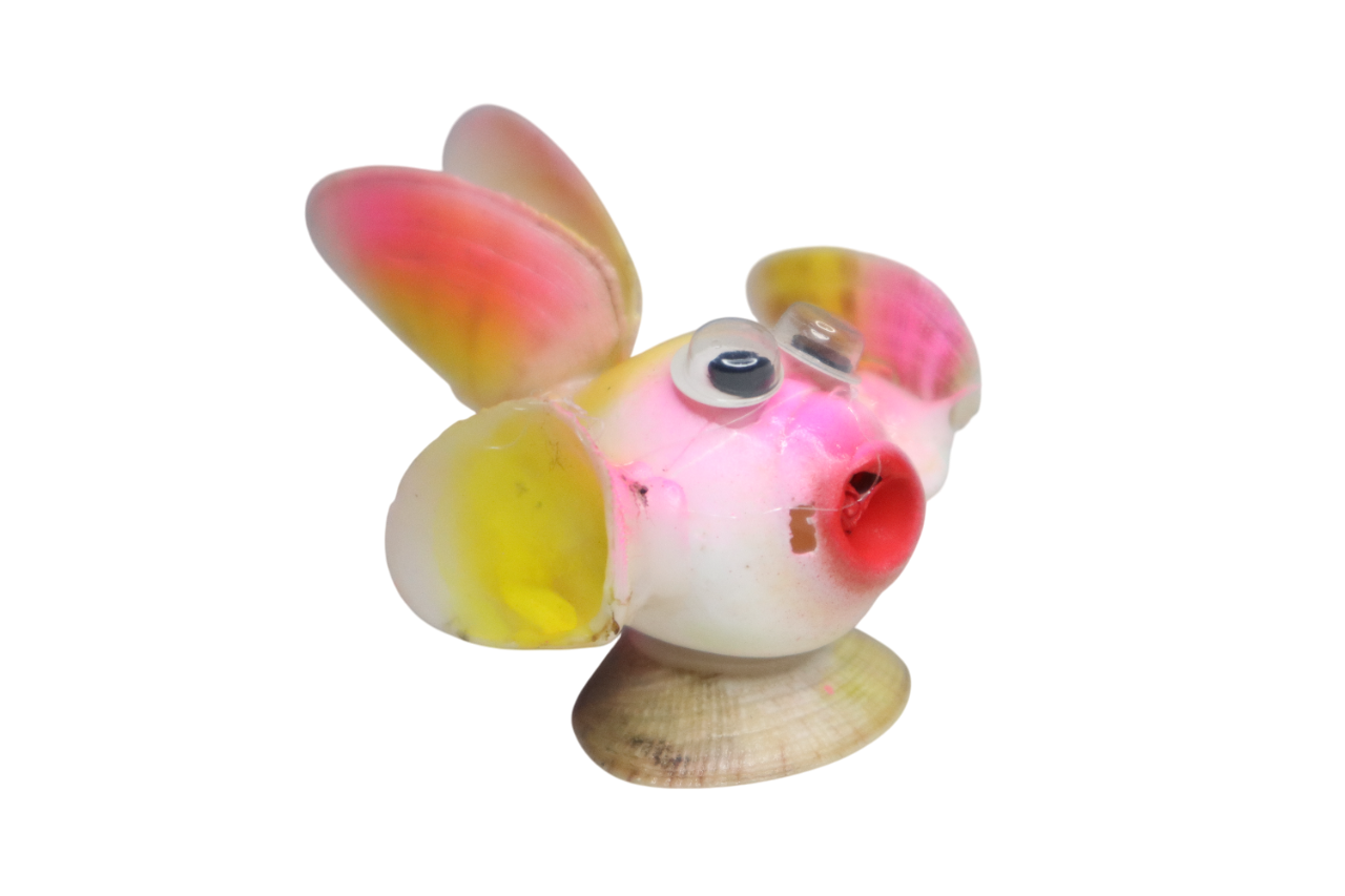 FISH SHELL SOUVENIR 9