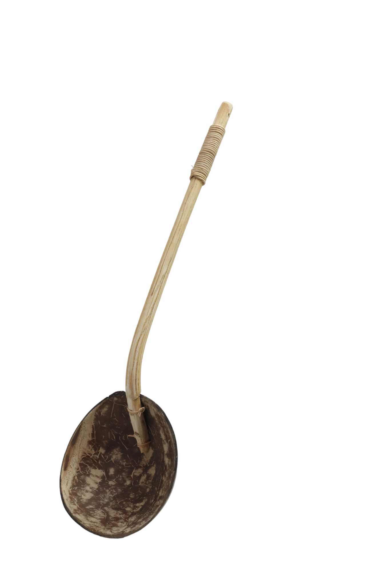 (PRE-ORDER) GAYUNG TEMPURUNG