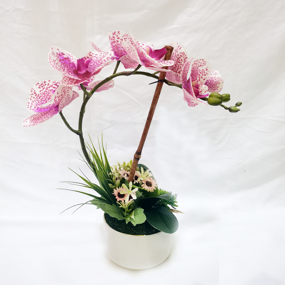 GUBAHAN BUNGA ORKID 25