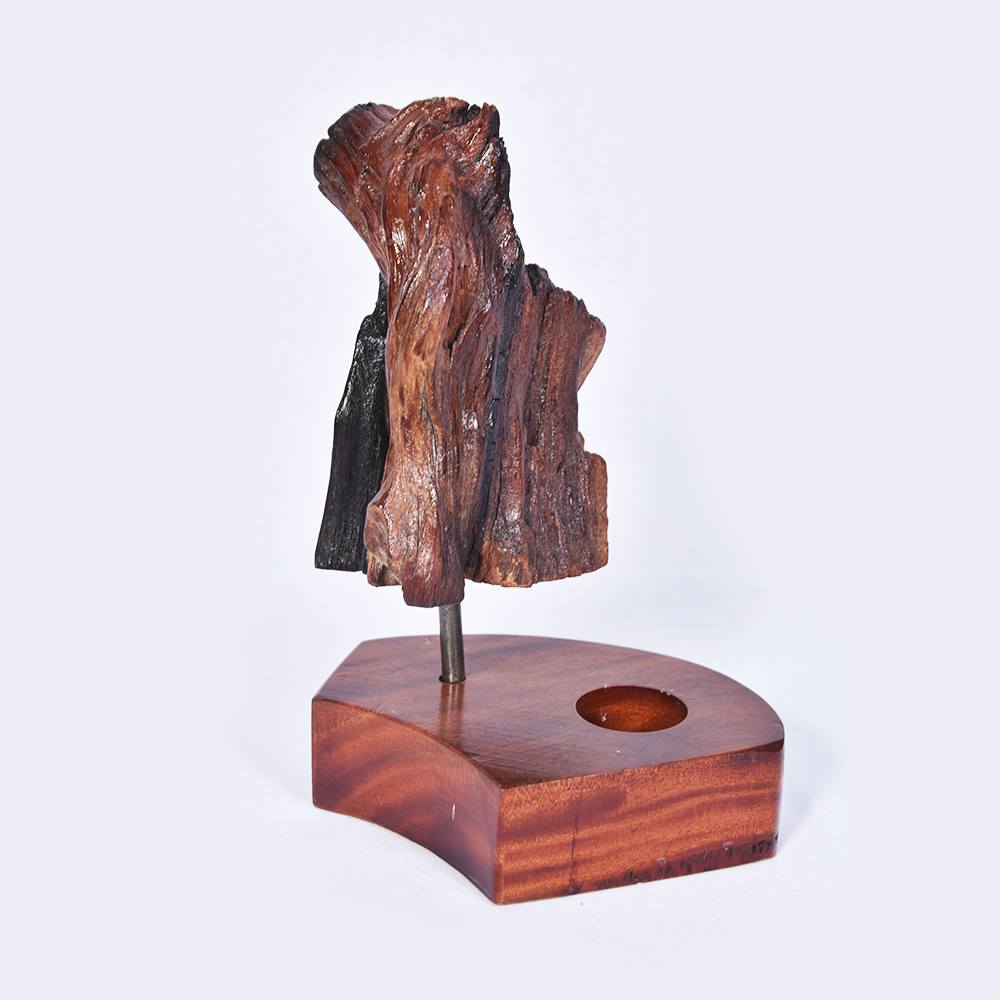 MODEN SCUPTURE (KAYU HANYUT)