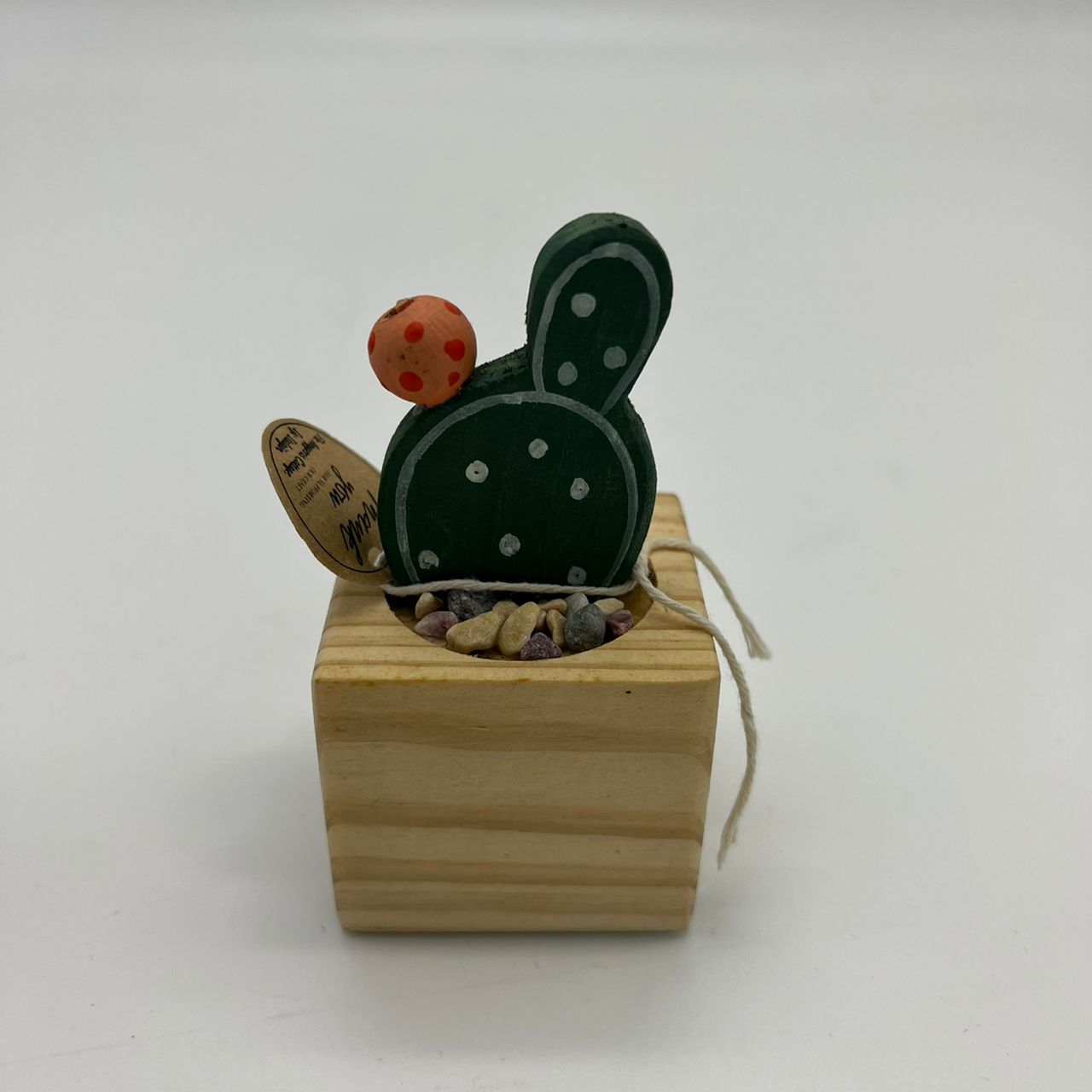 CENDERAMATA KAKTUS CENDAWAN