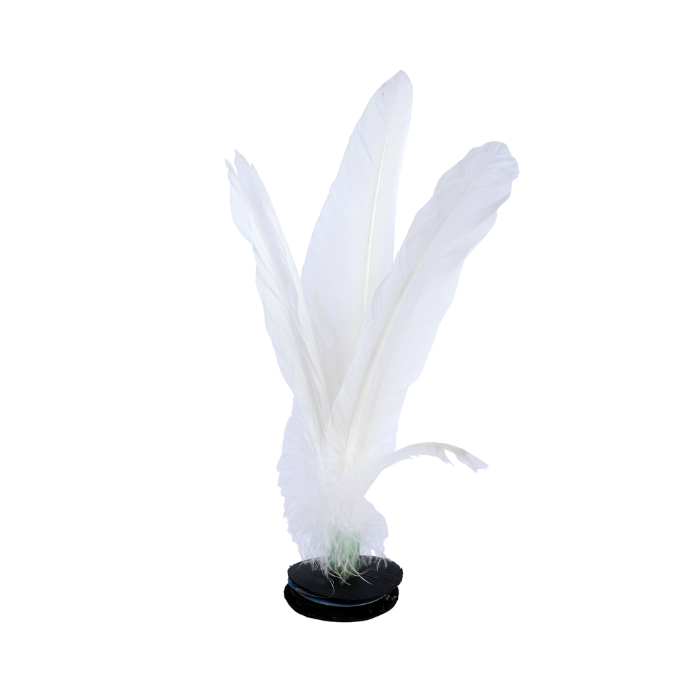 CAPTEH (BULU PUTIH) 1