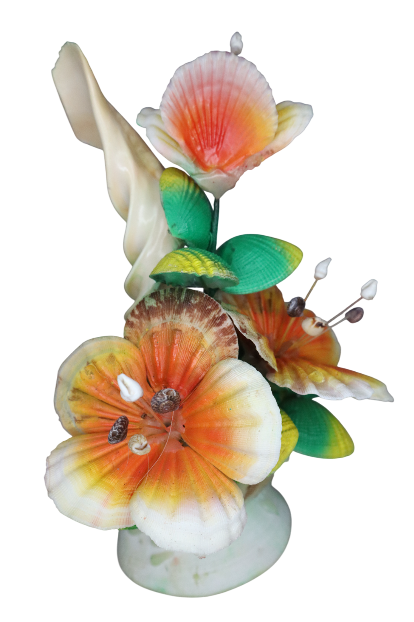 SHELLS HIBISCUS FLOWER