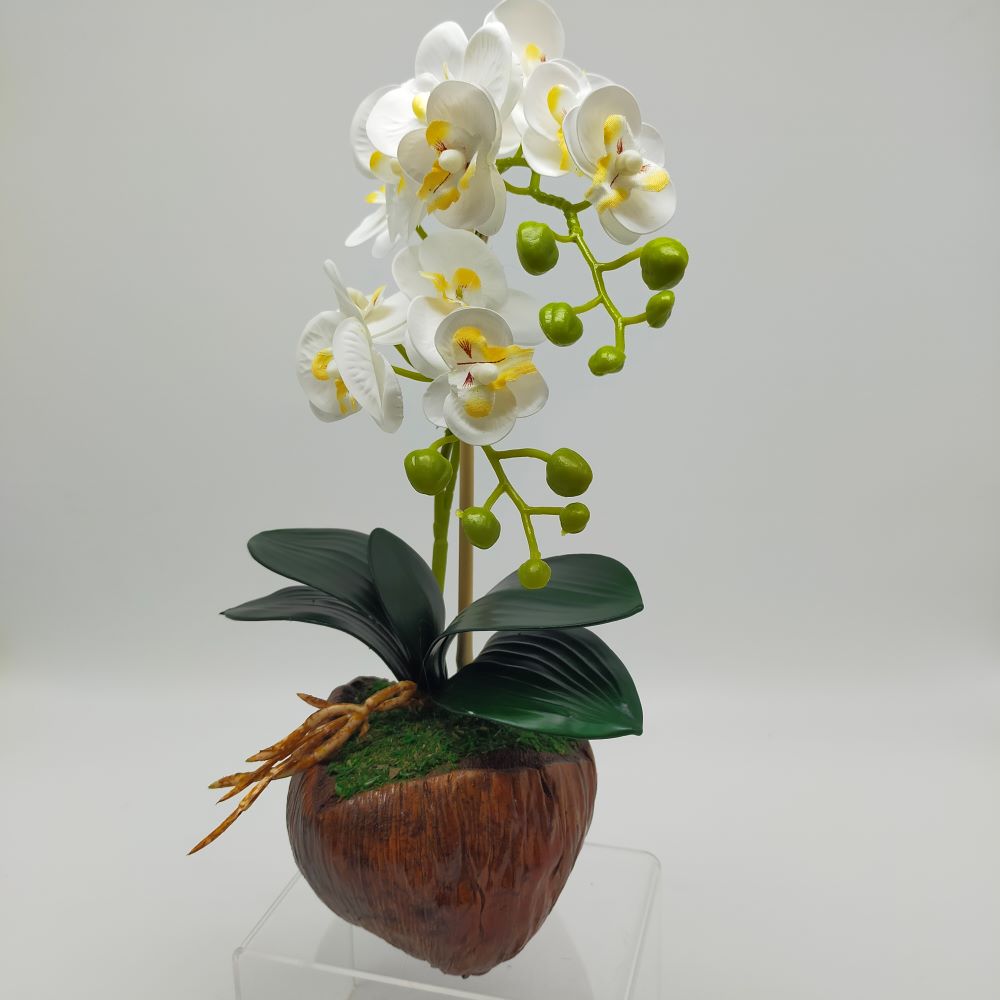 GUBAHAN TEMPURUNG KELAPA