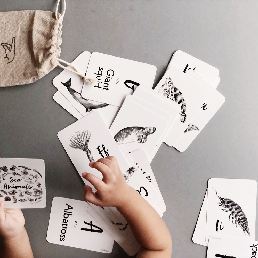 SEA ANIMAL FLASH CARD