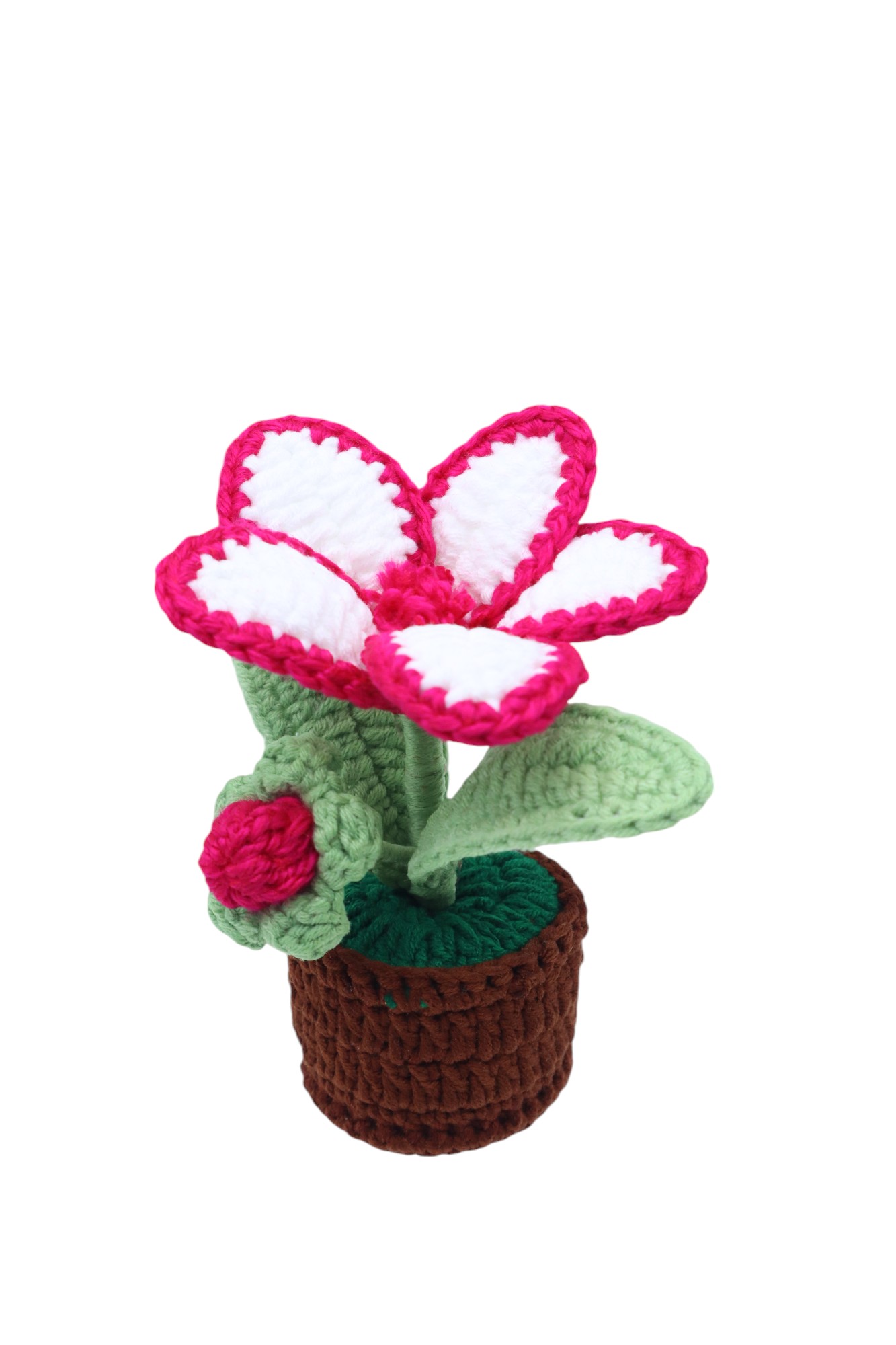 CUTE WEAVE FLOWER POT