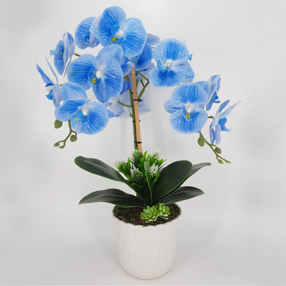 BUNGA ORKID LATEX 2 TANGKAI (BABY BLUE)