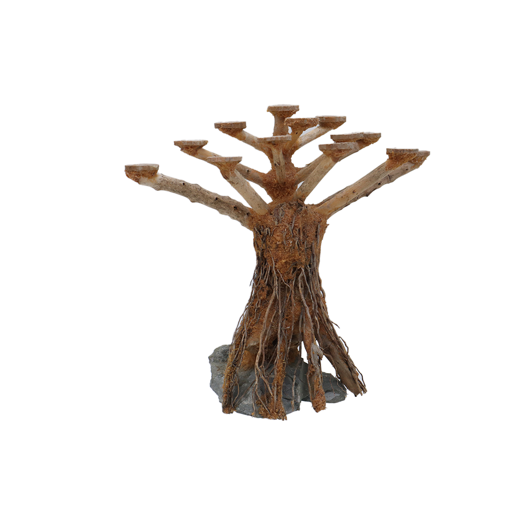 (PRE ODER) ARCA HIASAN AKUARIUM (AQUASCAPE)