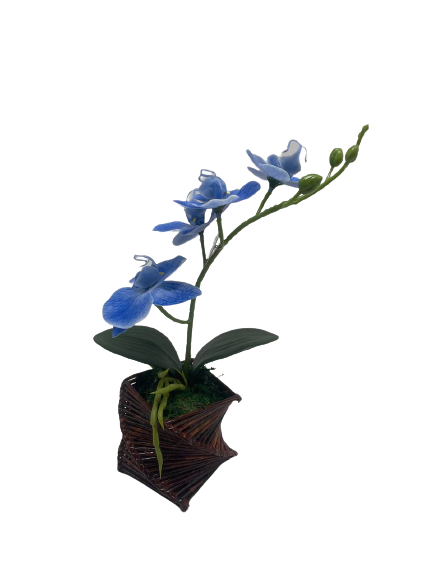 GUBAHAN ORKID PASU KERTAS