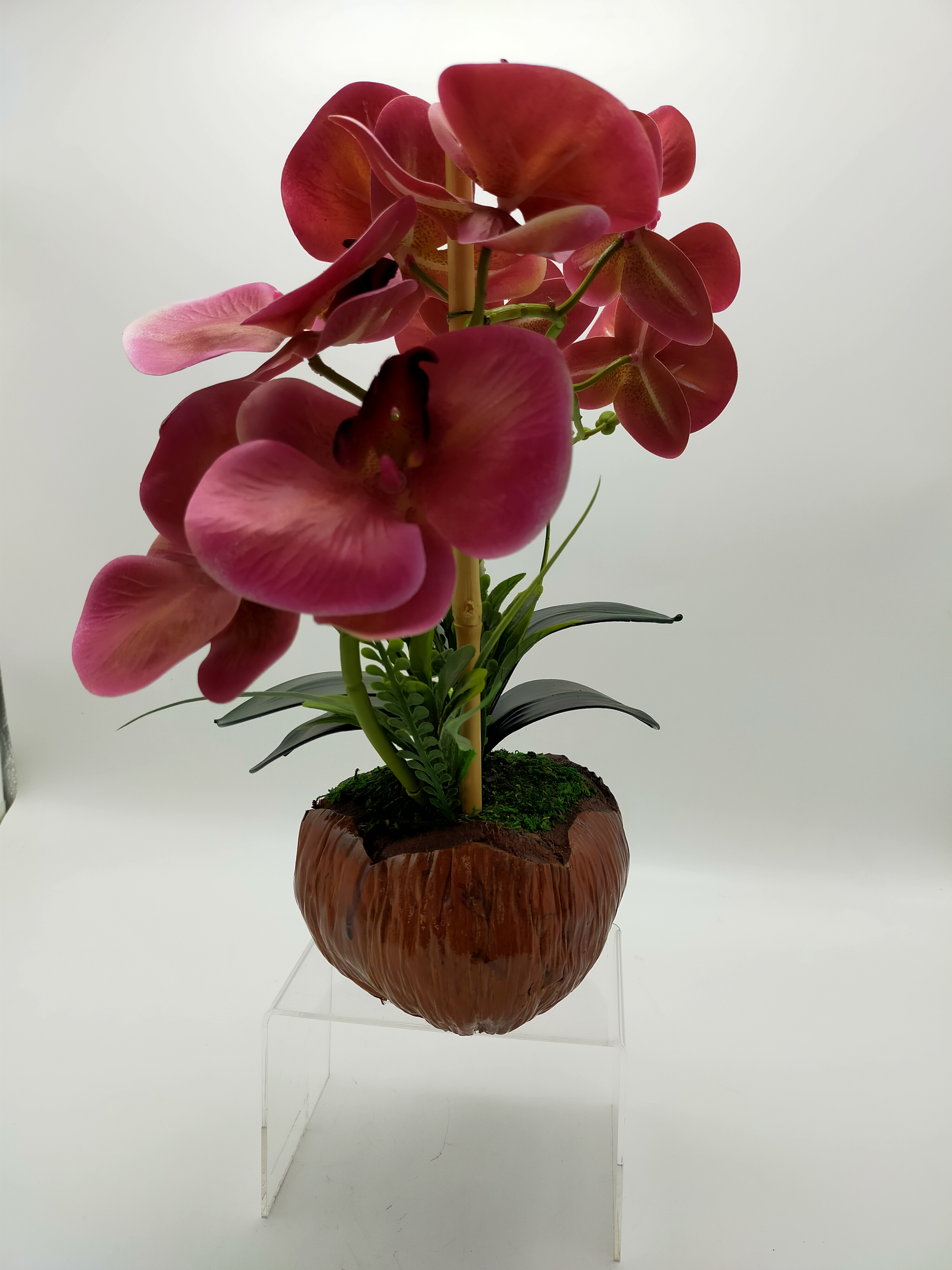 PASU KELAPA BUNGA ORKID PINK