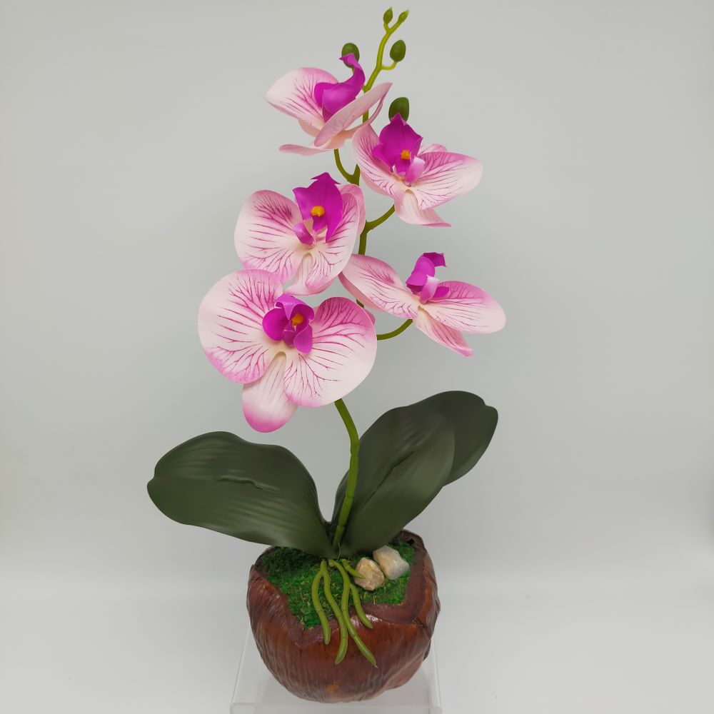 GUBAHAN ORKID PASU KELAPA