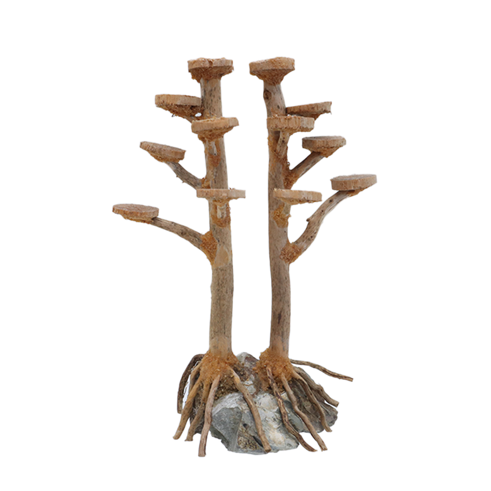 (PRE ODER) ARCA HIASAN AKUARIUM (AQUASCAPE)