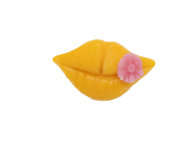 LIPS BROOCH