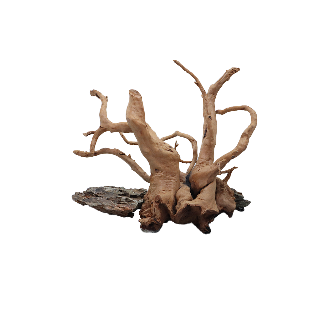 (PRE ODER) ARCA HIASAN AKUARIUM (AQUASCAPE)