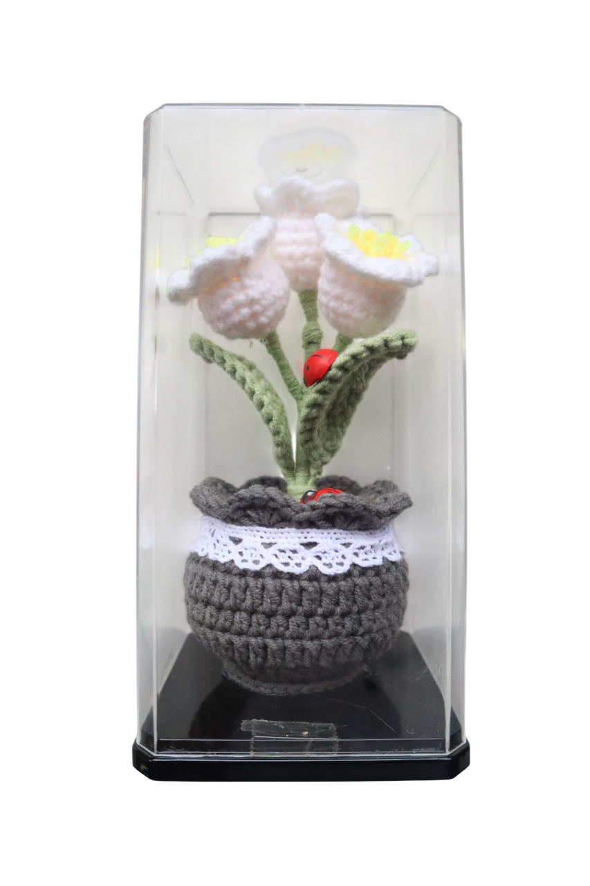 FLOWER POT CROCHET WITH CASING