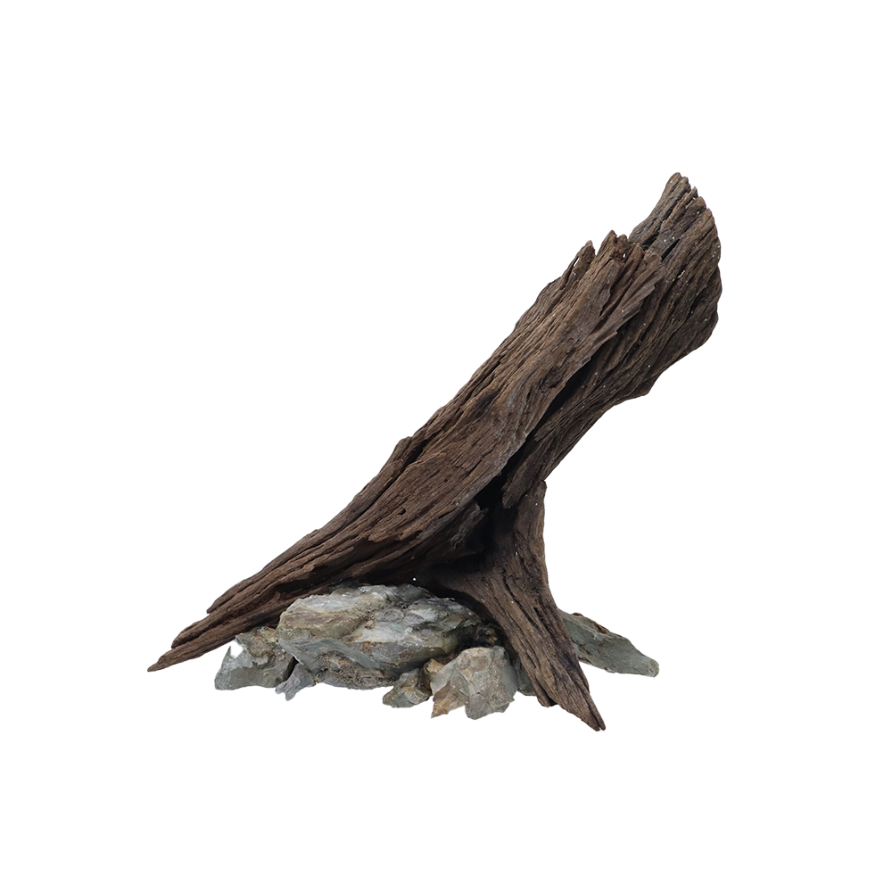 (PRE ODER) ARCA HIASAN AKUARIUM (AQUASCAPE)