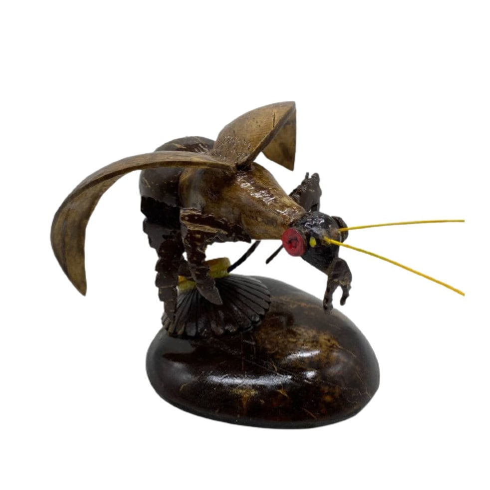 CENDERAMATA TEMPURUNG