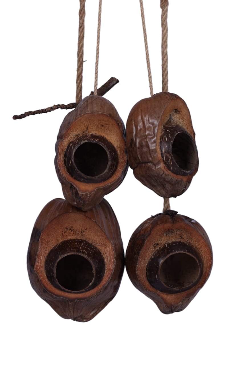 (PRE ORDER) BEKAS TEMPURUNG BERTALI SET (TEBAL & NIPIS)