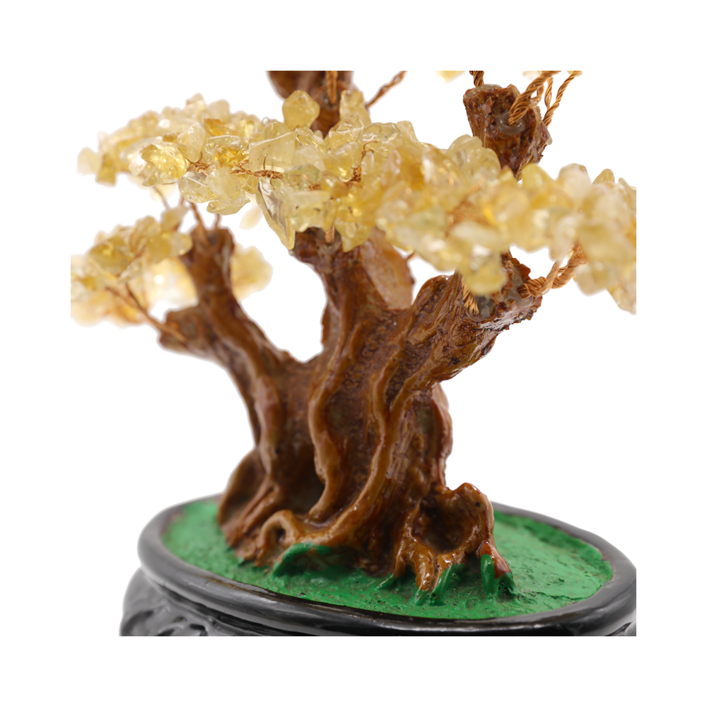 HIASAN (POKOK KRISTAL)