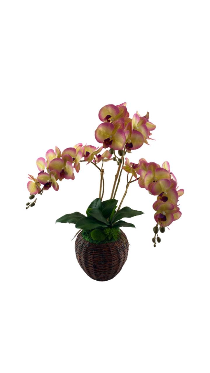 GUBAHAN GANTUNG ORKED BUAH KEPALA