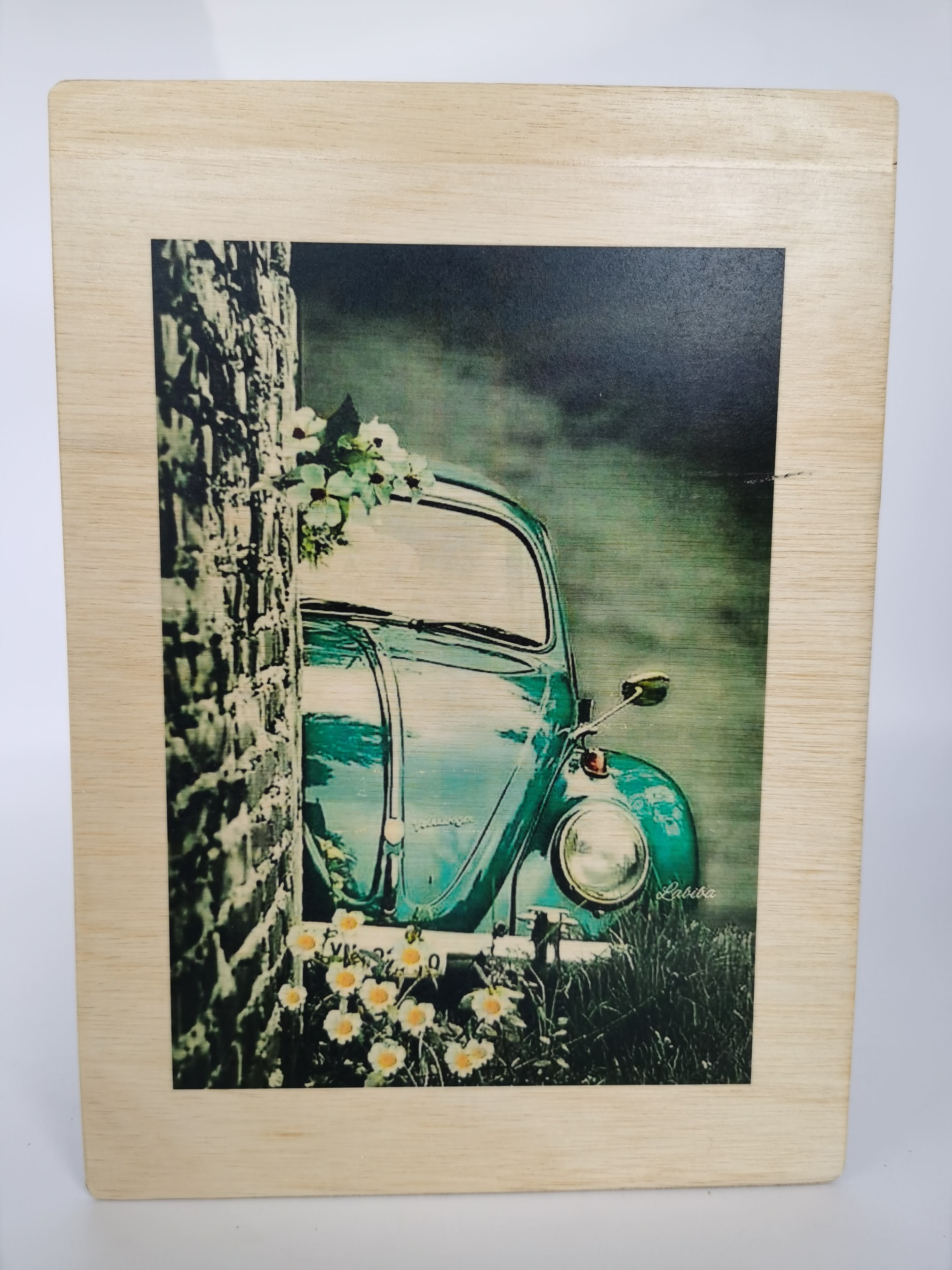 PICTURE TRANSFER (VOLKSWEGAN GREEN WITH FLOWER)