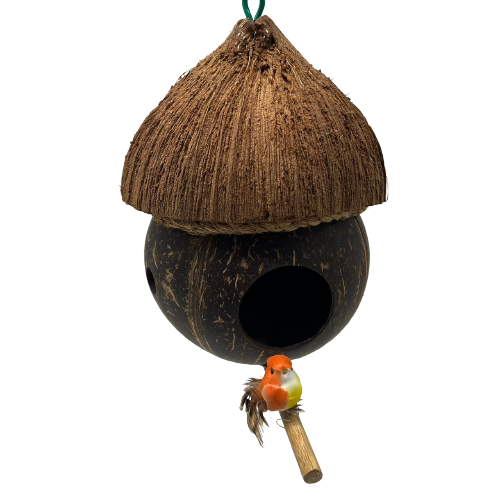 TEMPURUNG SARANG BURUNG