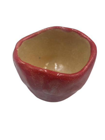 MINI LOVE CACTUS POT