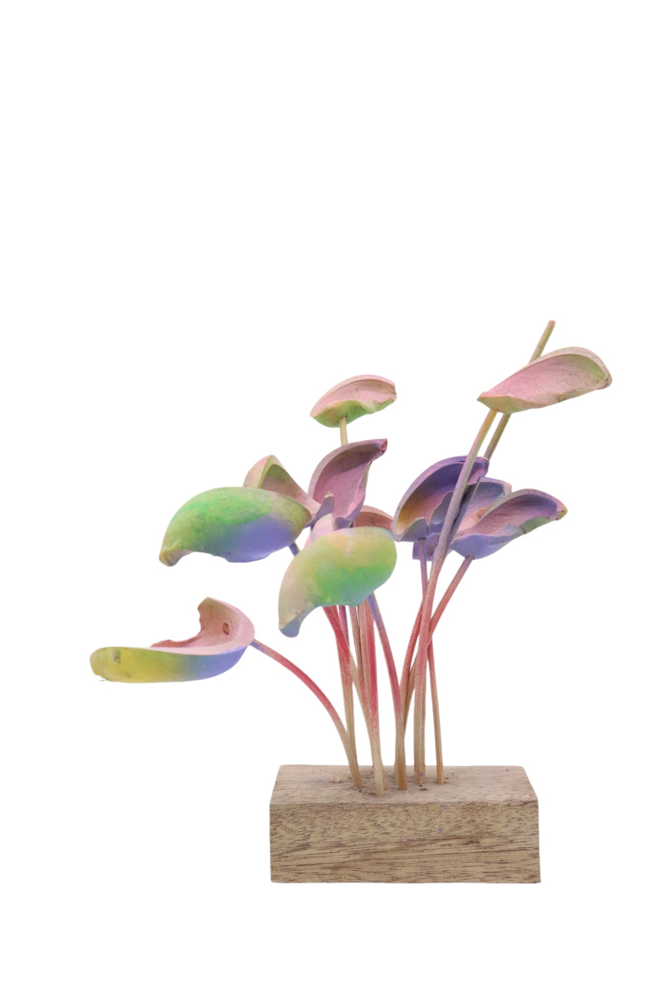 WOOD AND COCONUT SHELL ARCA