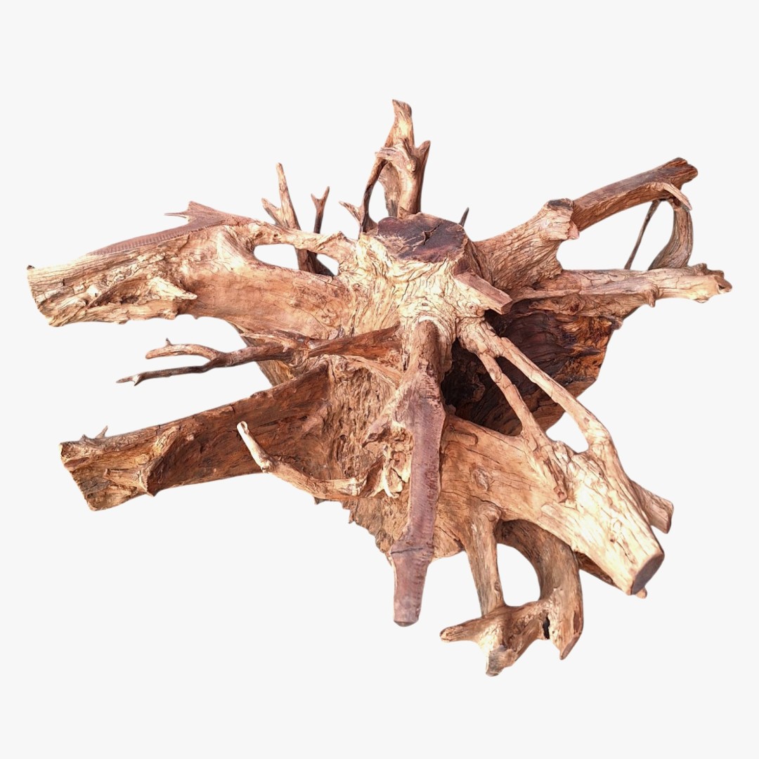 RUSTIC TREE ROOT BASE