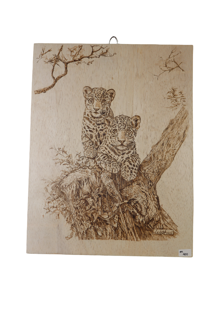 WOOD BURNING