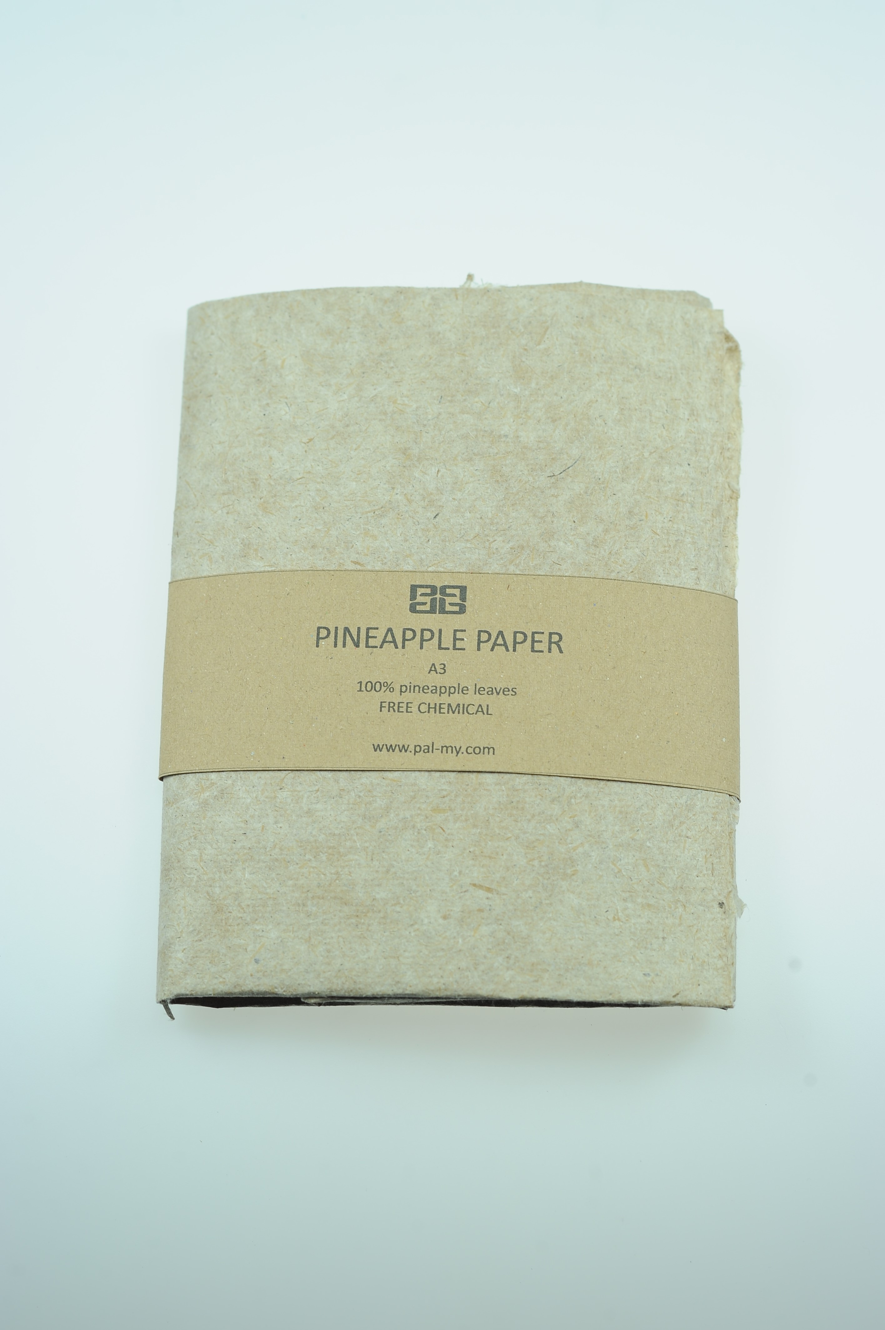 PINEAPPLE LEAVES PAPER A3