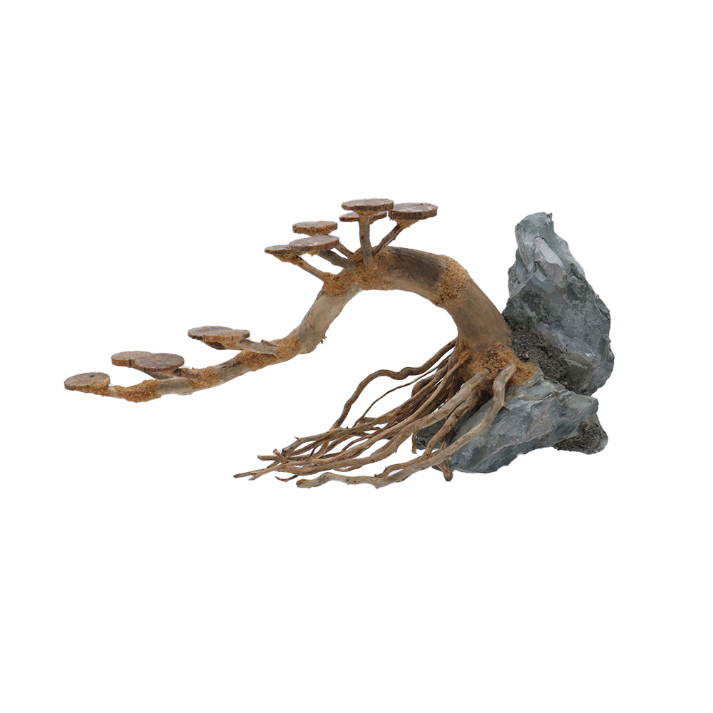 (PRE ODER) ARCA HIASAN AKUARIUM (AQUASCAPE)