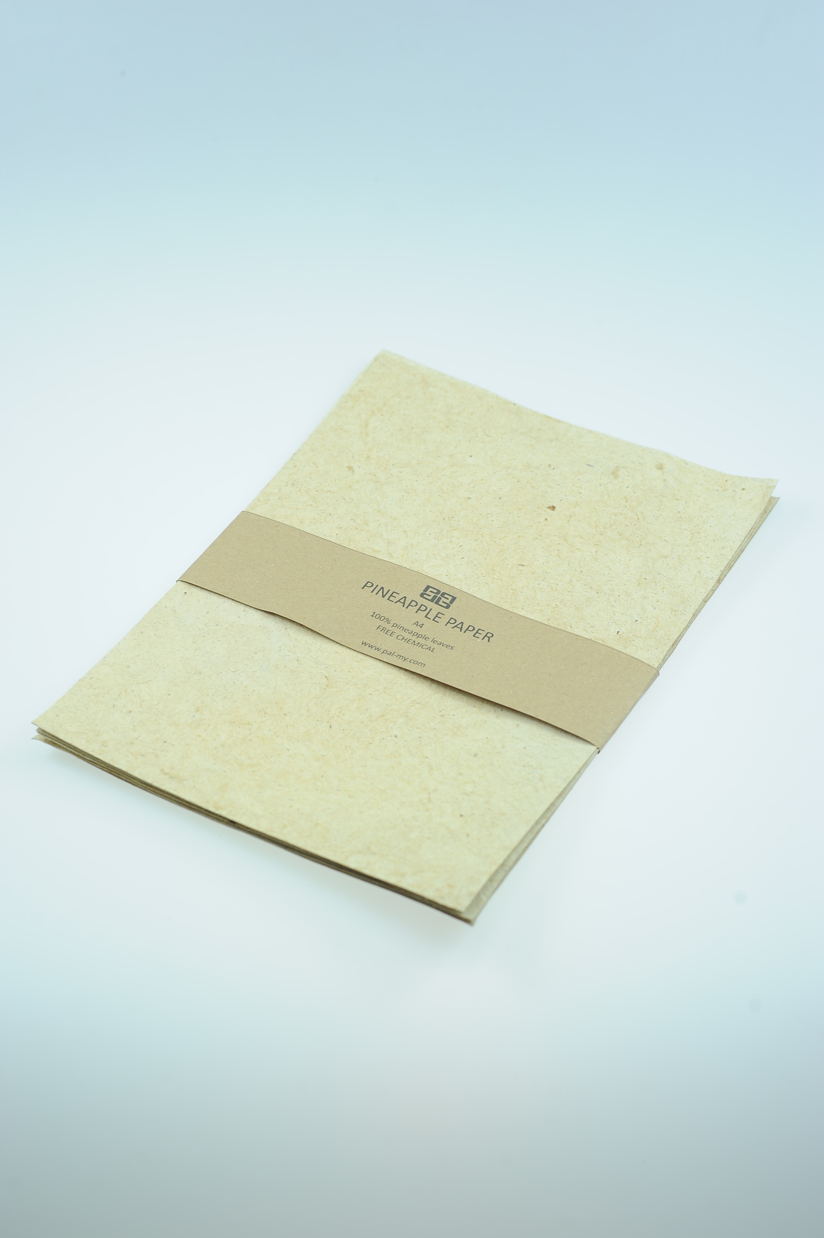 PINEAPPLE LEAVES PAPER A5