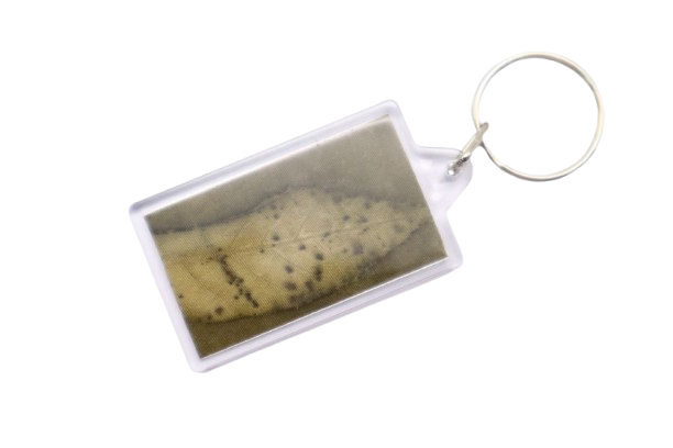 ECO PRINT KEYCHAIN