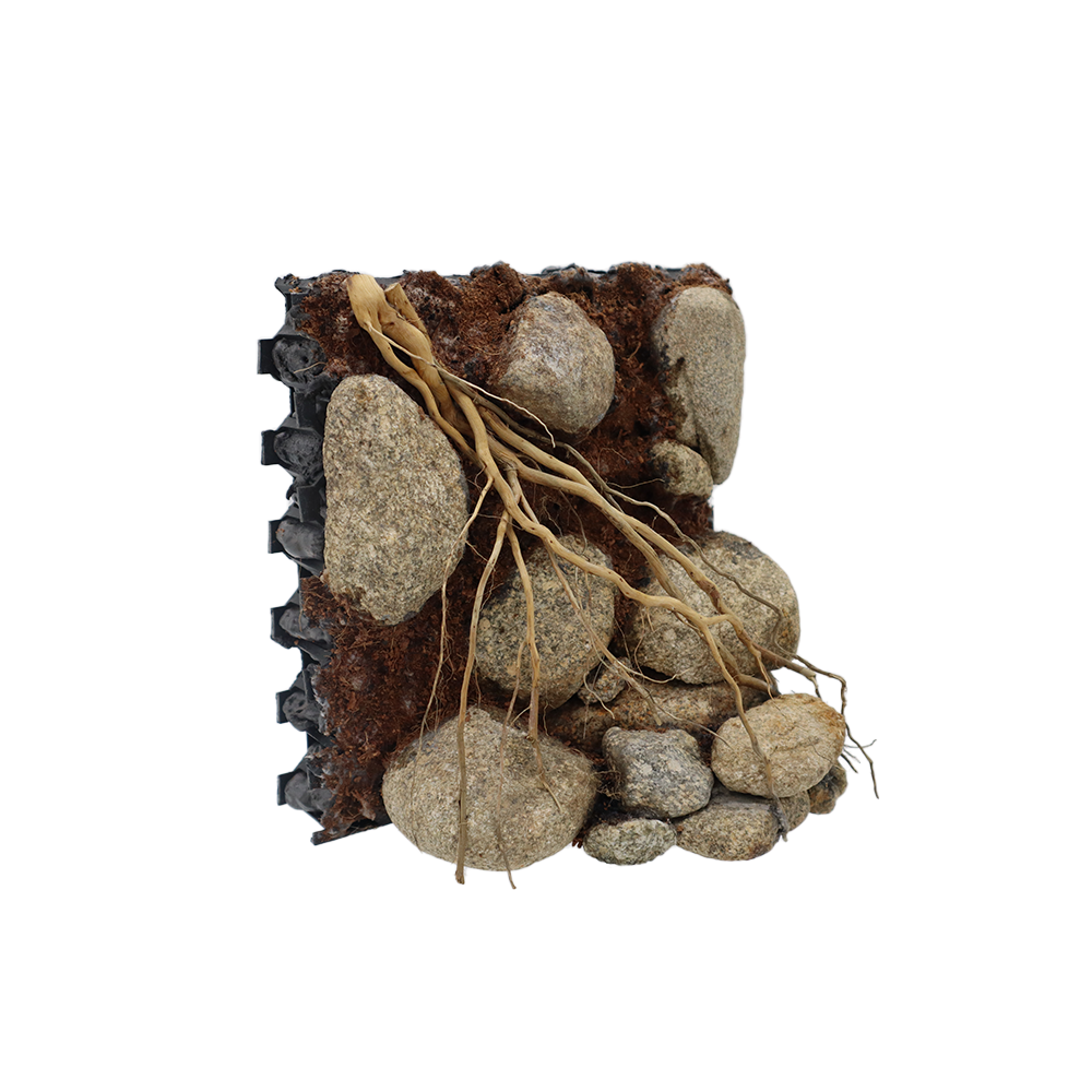 (PRE ODER) ARCA HIASAN AKUARIUM (AQUASCAPE)